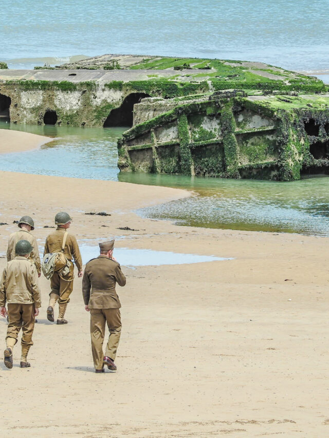 What is Normandy Landings or D-Day ?