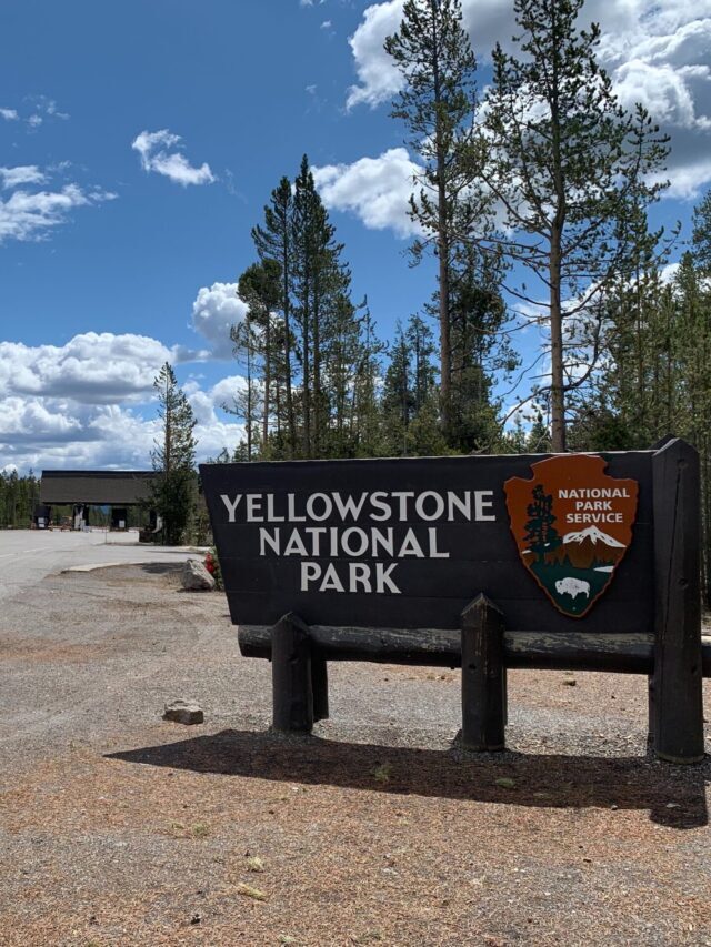 Yellowstone National Park Information