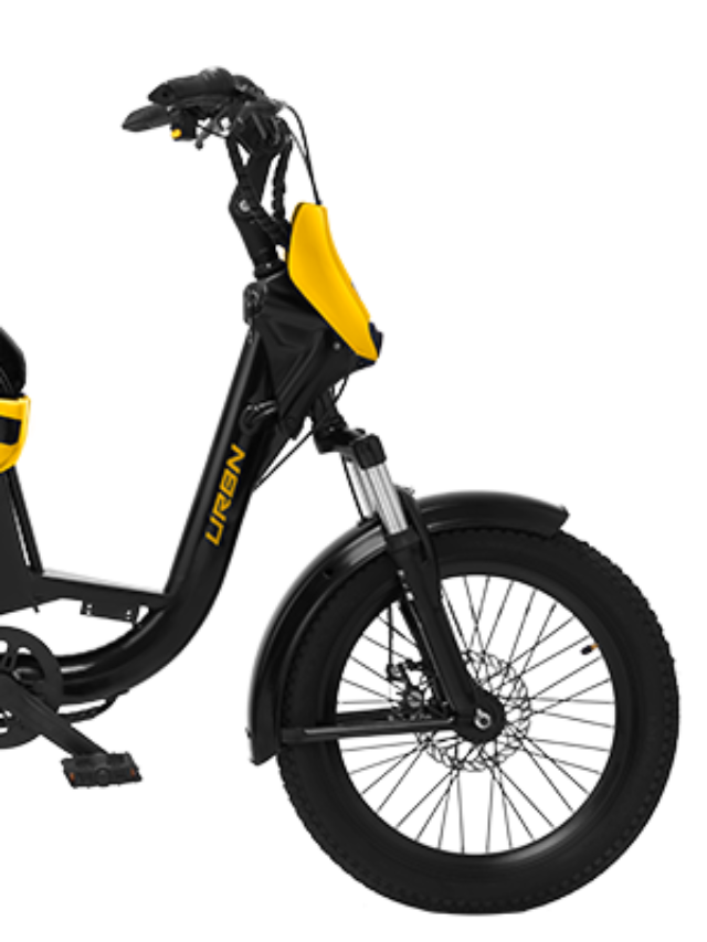 Book This E-Bike For Rs 999 Only